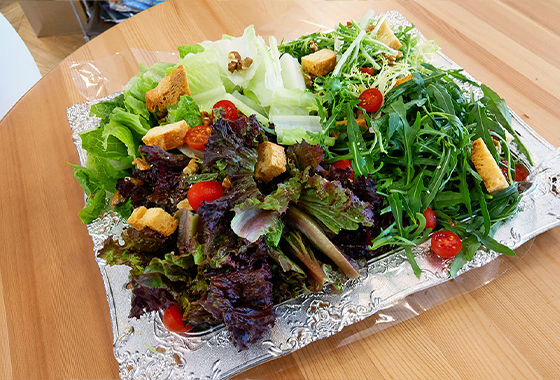 日式和風生菜沙拉